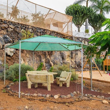 Tenerife Healing Garden Guía de Isora Dış mekan fotoğraf