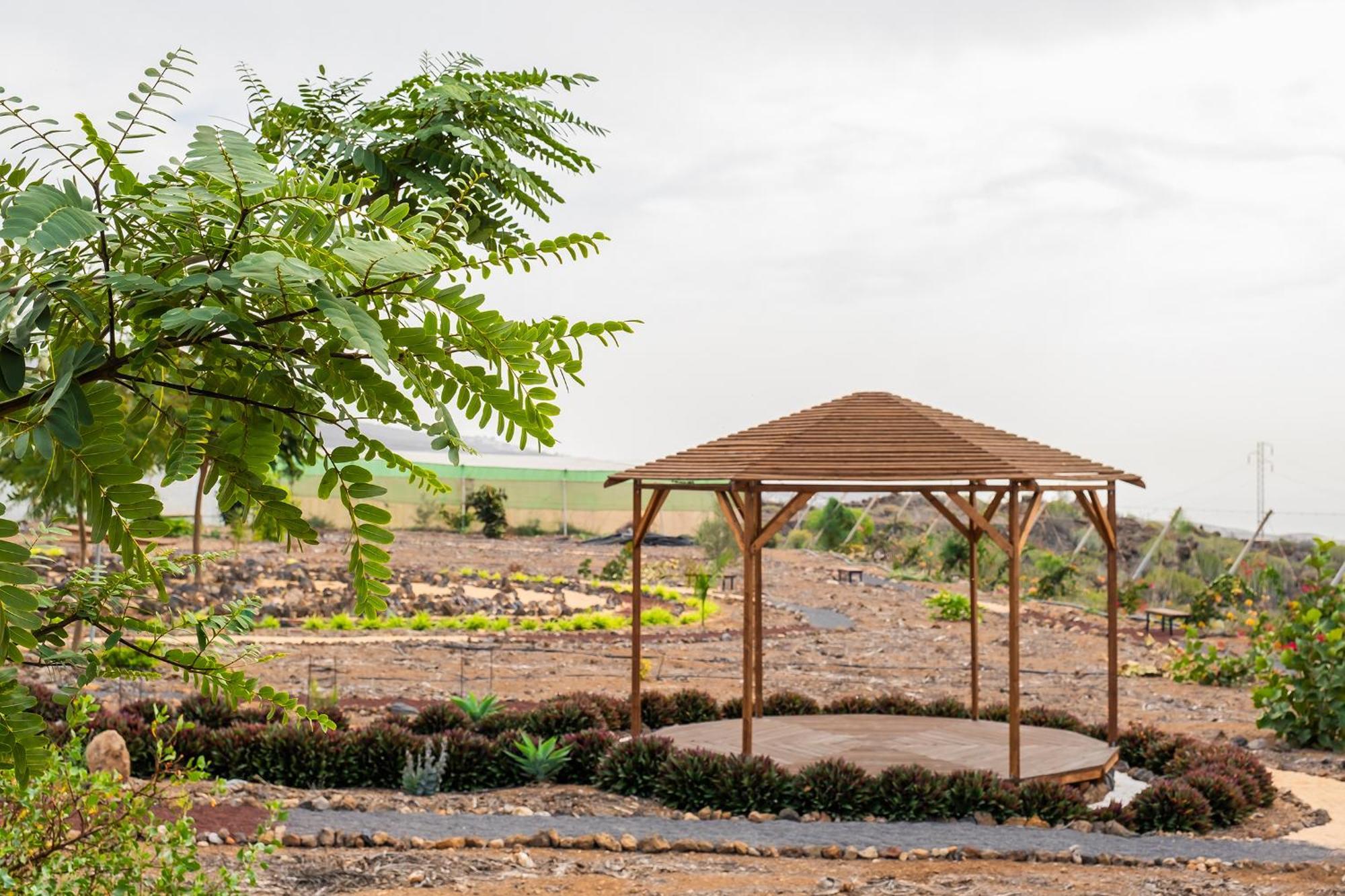 Tenerife Healing Garden Guía de Isora Dış mekan fotoğraf