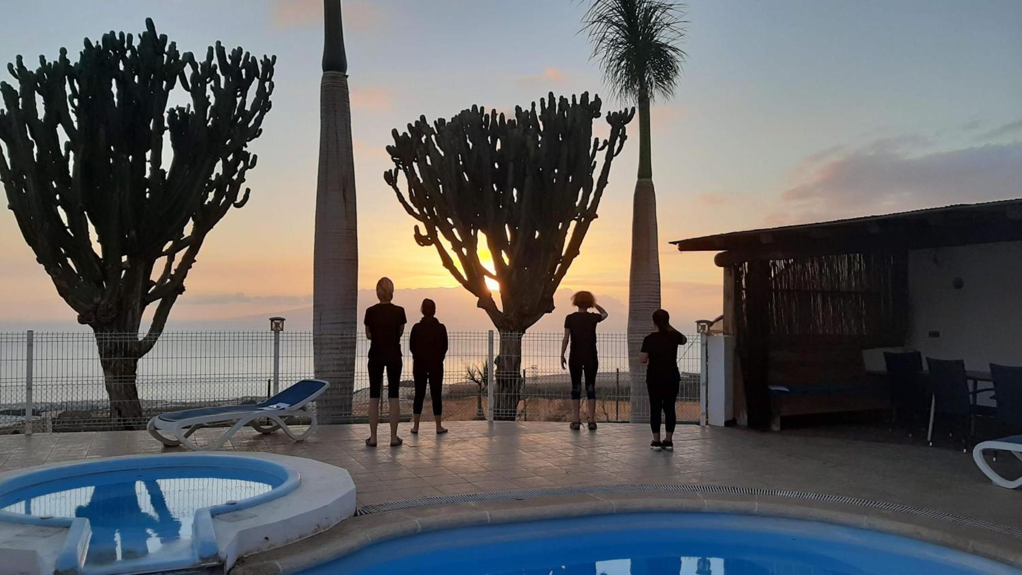 Tenerife Healing Garden Guía de Isora Dış mekan fotoğraf