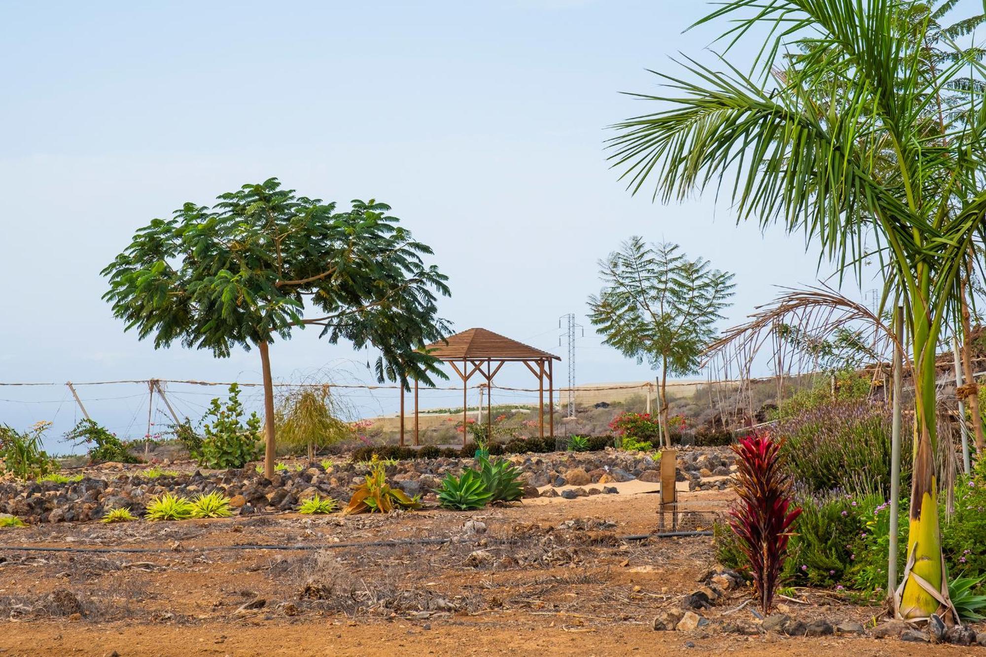 Tenerife Healing Garden Guía de Isora Dış mekan fotoğraf