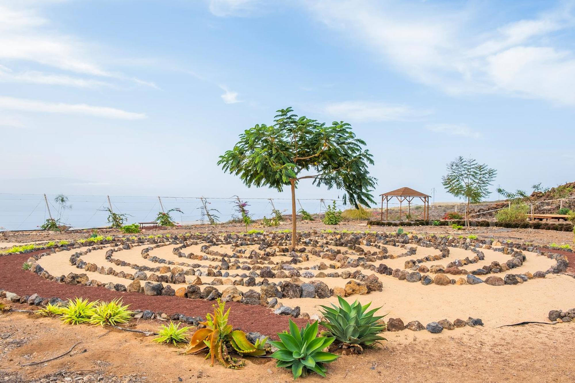 Tenerife Healing Garden Guía de Isora Dış mekan fotoğraf