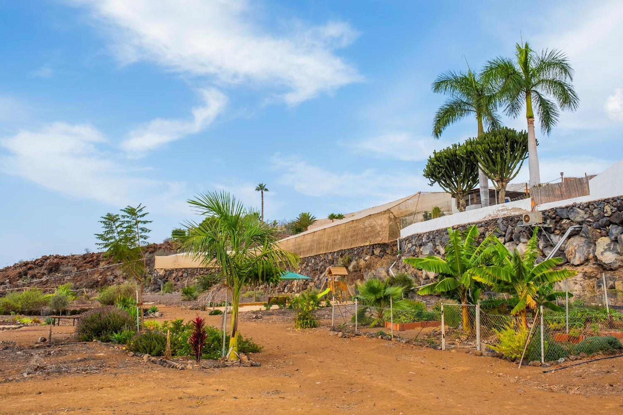Tenerife Healing Garden Guía de Isora Dış mekan fotoğraf