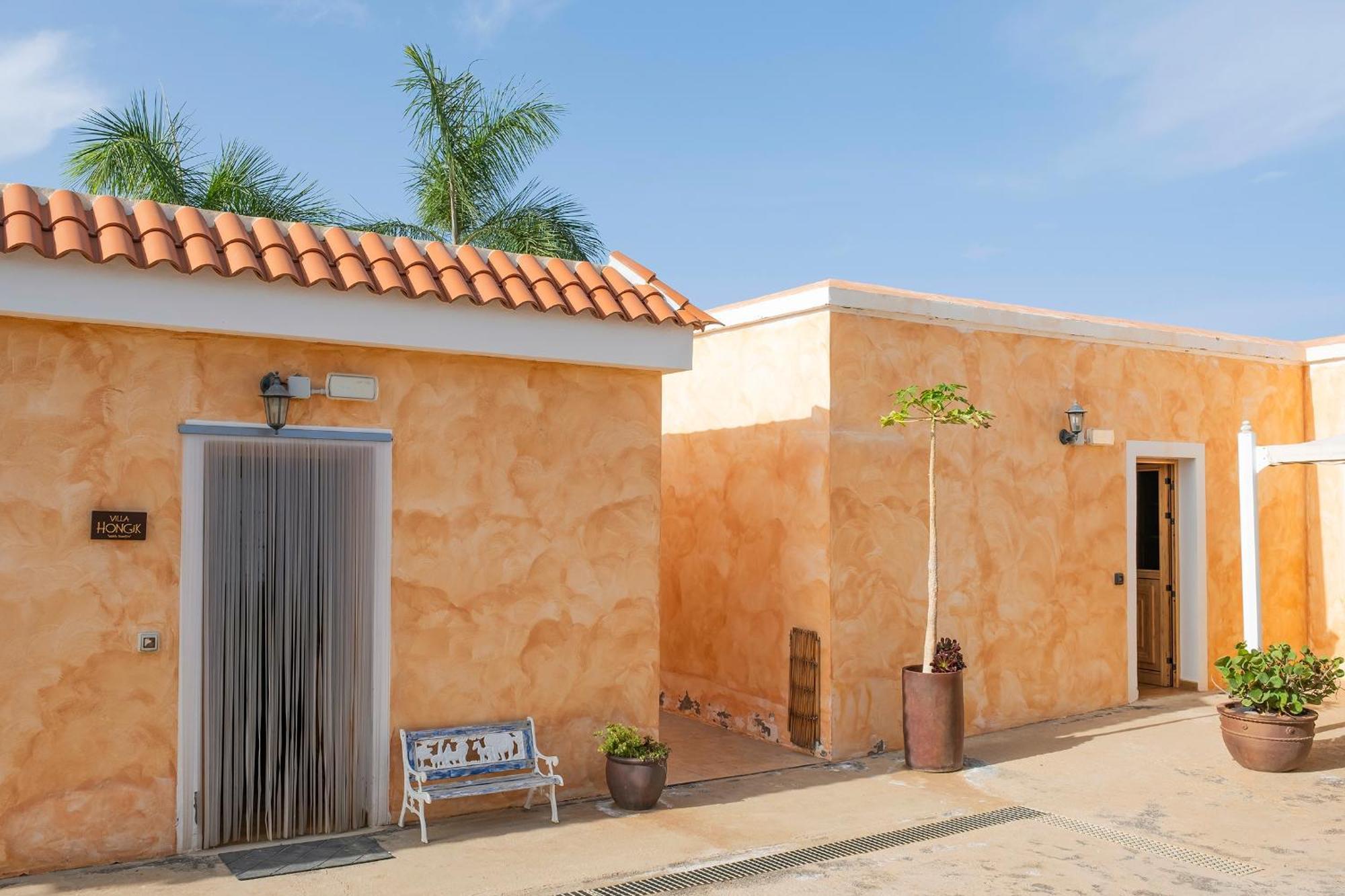 Tenerife Healing Garden Guía de Isora Dış mekan fotoğraf